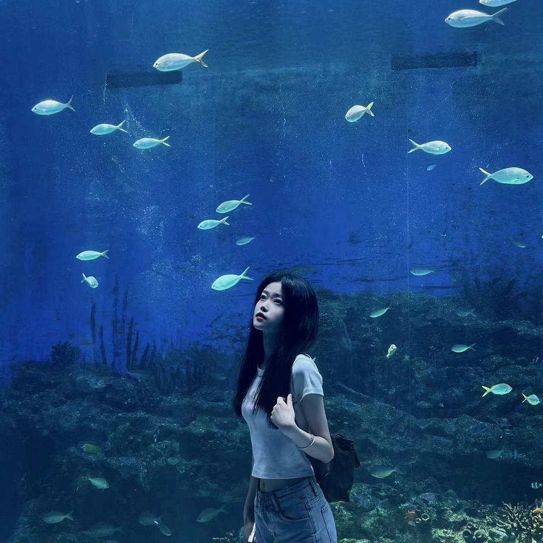 羊小鹿