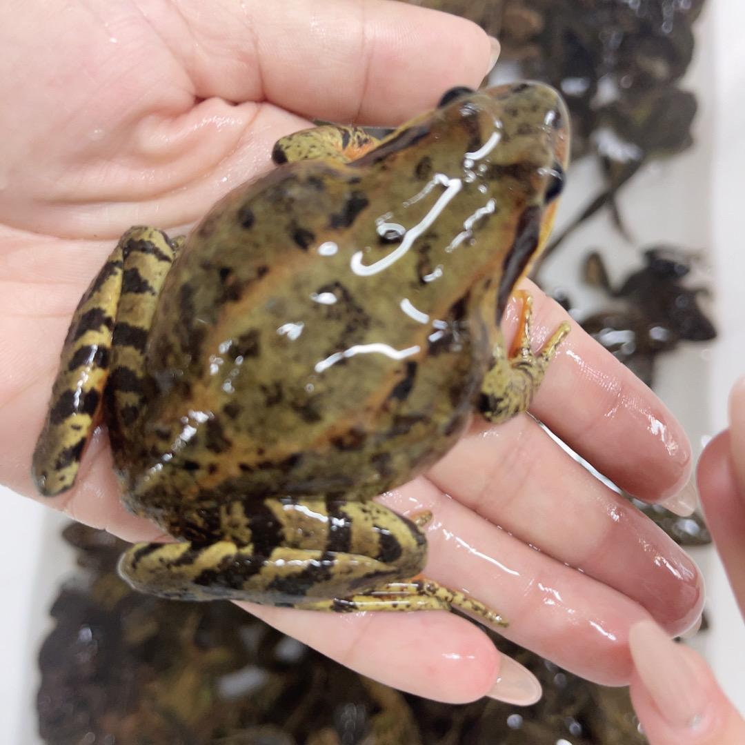 通河县溪源山货行