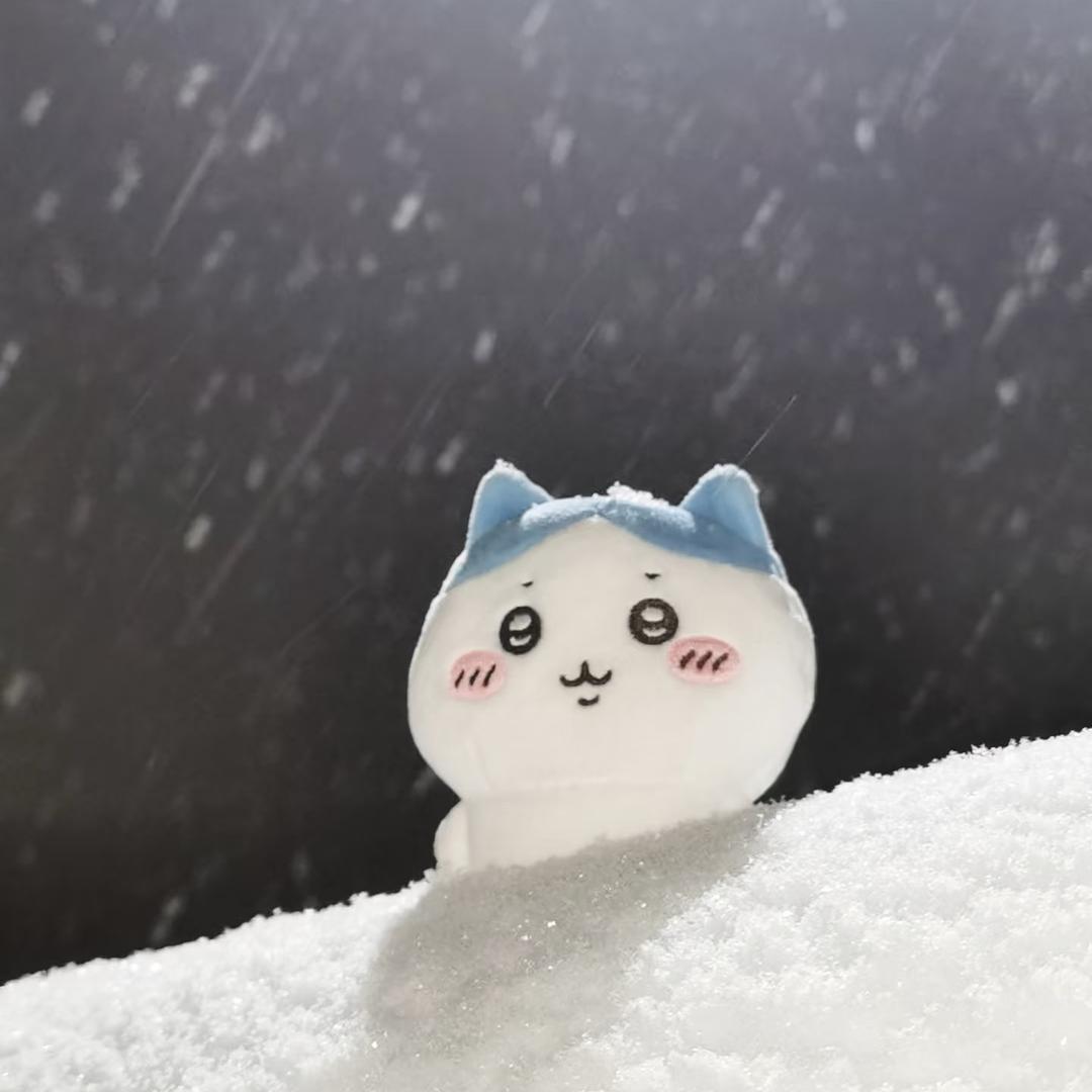 缅甸小学生🧑‍🎓