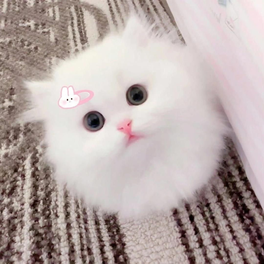 抱抱晴