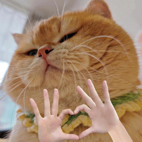 我去年买了个书包超耐磨