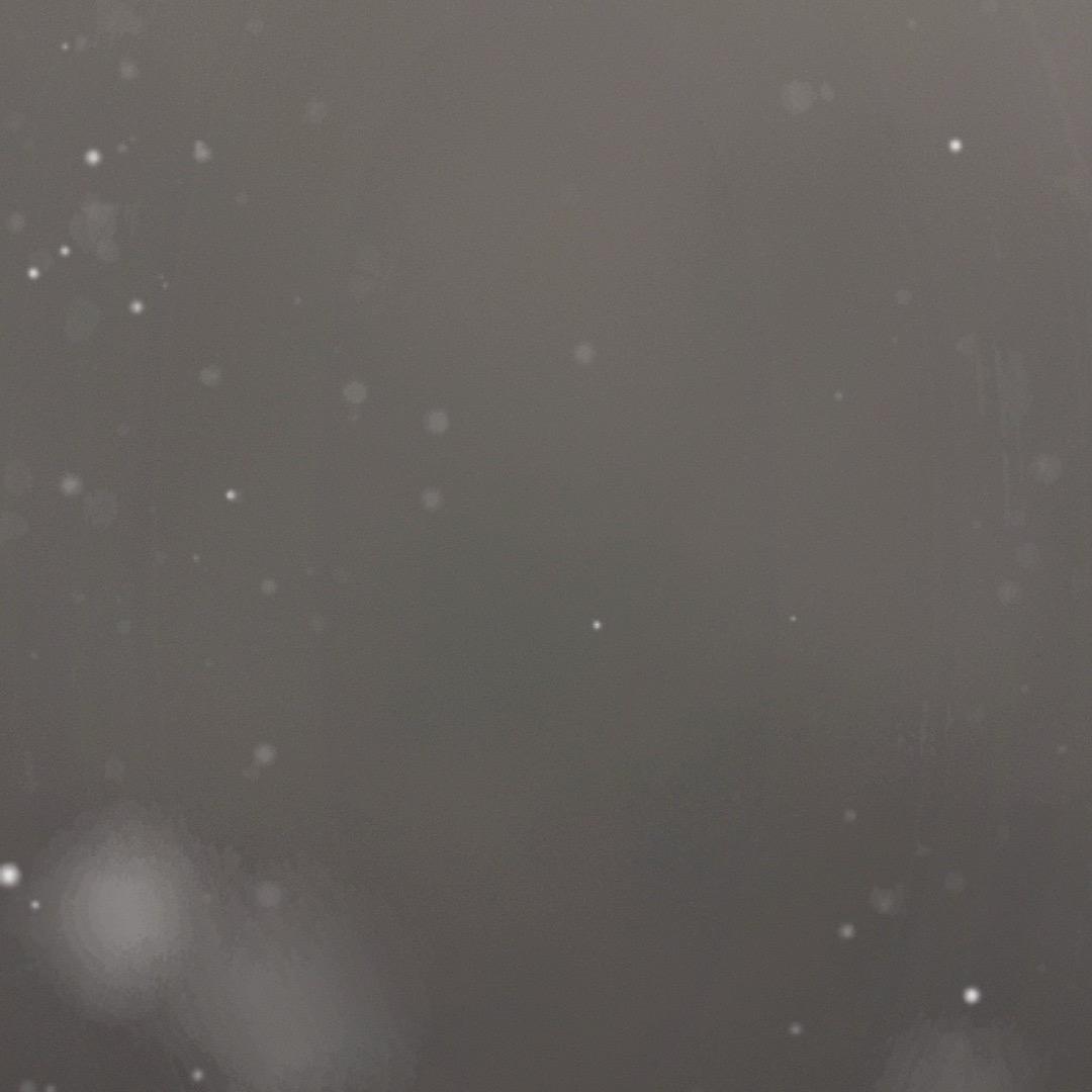 ¥