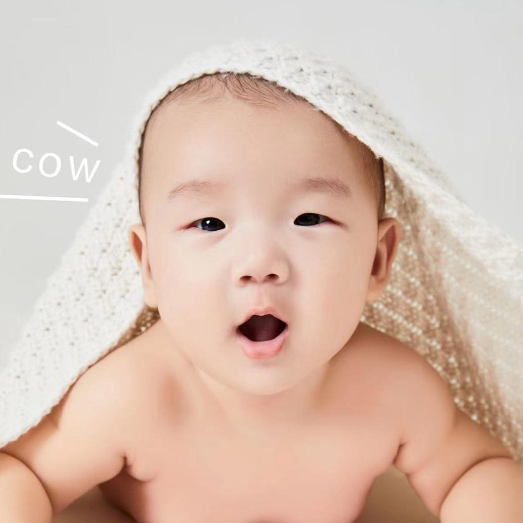 一只小希哥（搭建中）