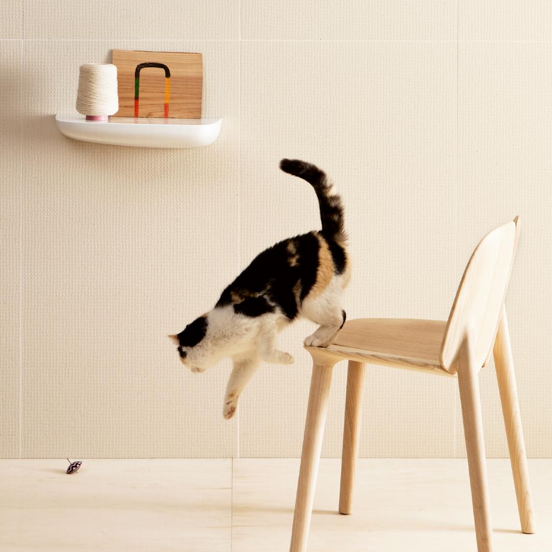 Ronan Bouroullec.Z