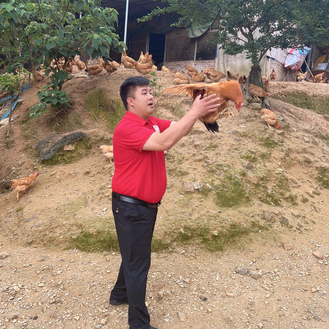 五华浩记盐焗鸡