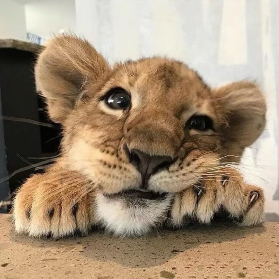 季漾
