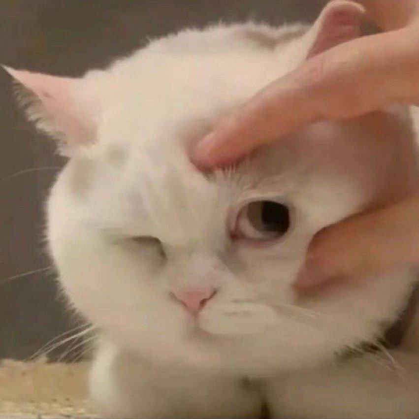 圆