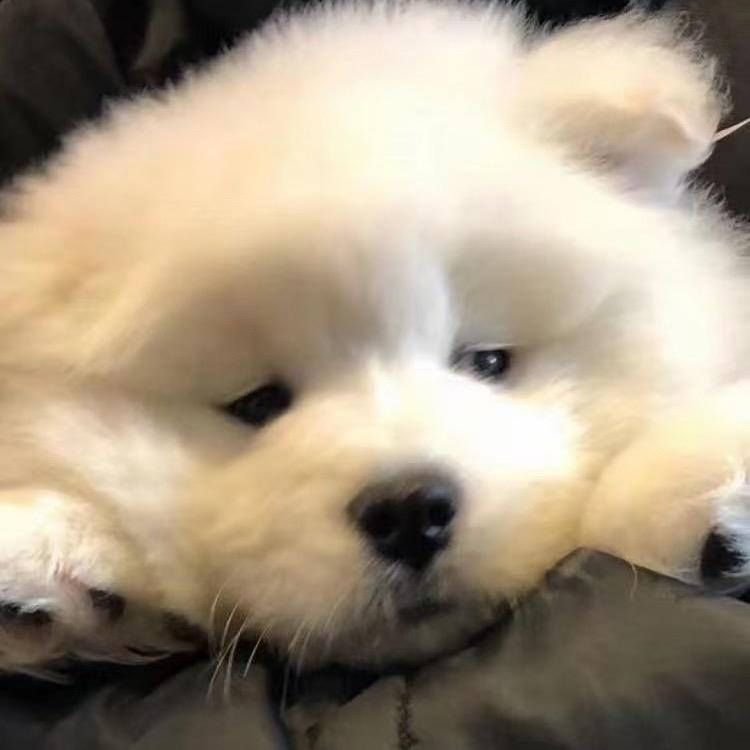 想要富婆