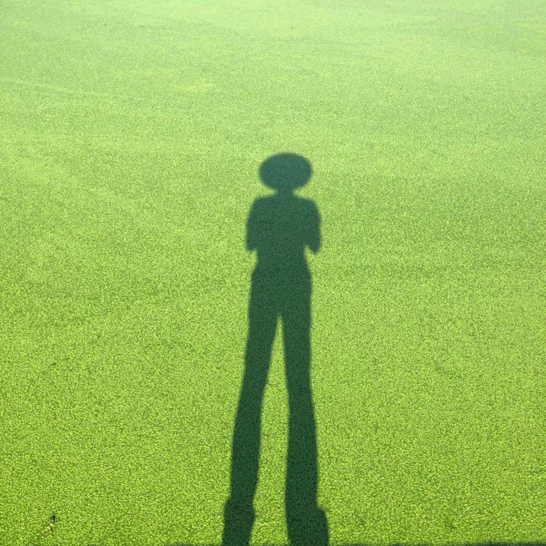 晨曜黑花甲鱼养殖场