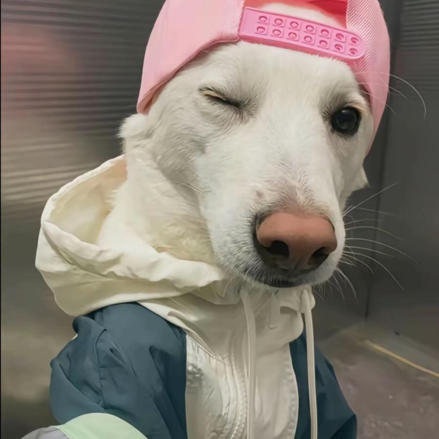 小刘学长在成信大