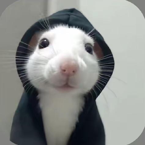 种提莫的蘑菇