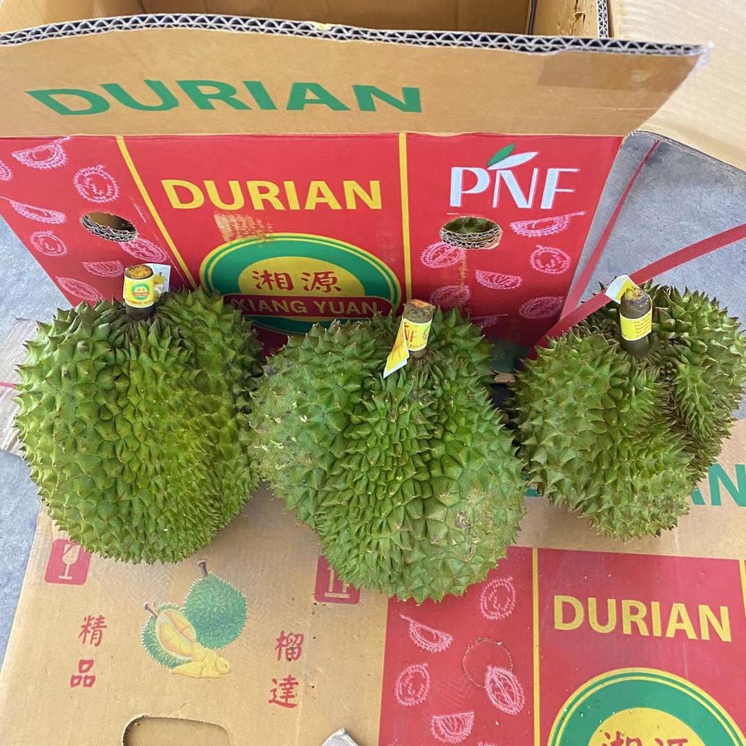 我回来了🇨🇳