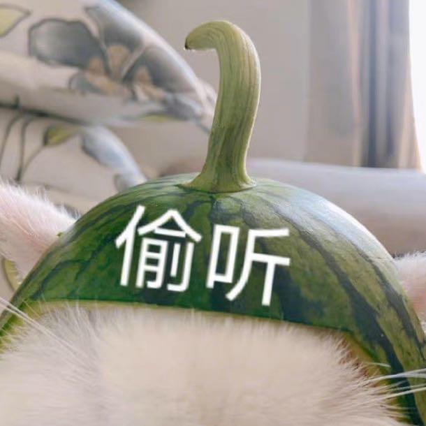 开心呀🐯头像