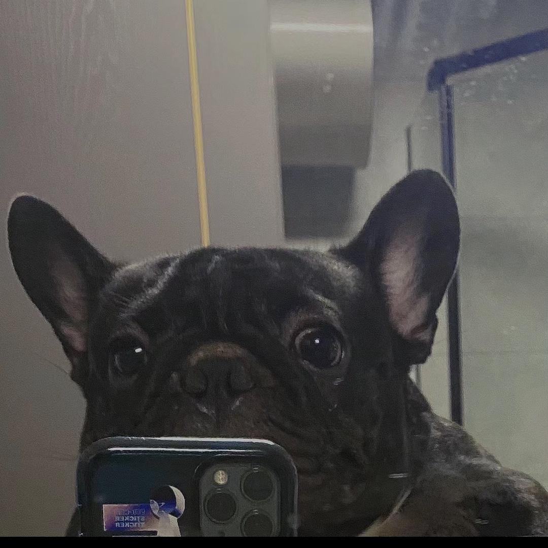 BoiYu