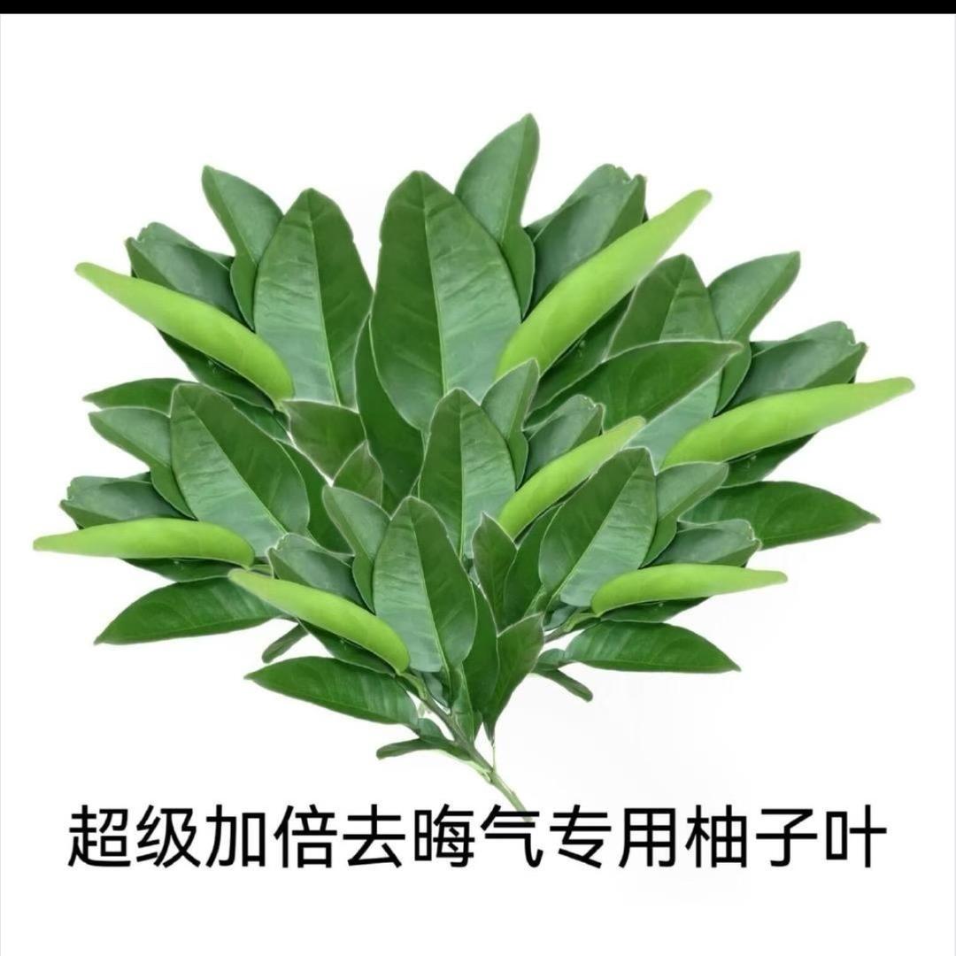 潮汕典当（压非本人车🚗）