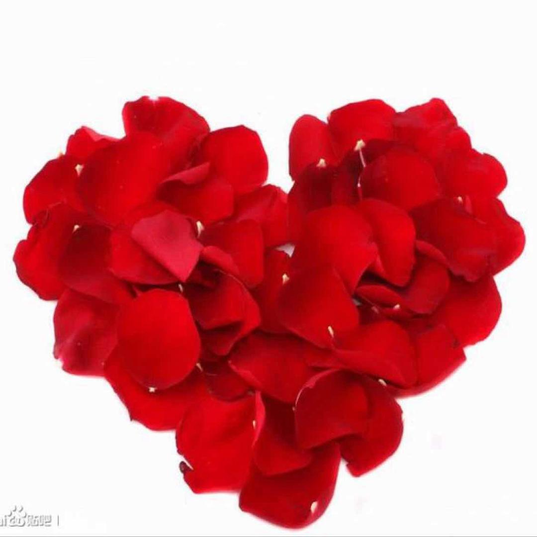 💞ℳ加ঞᩚ油꧔ꦿ᭄💞