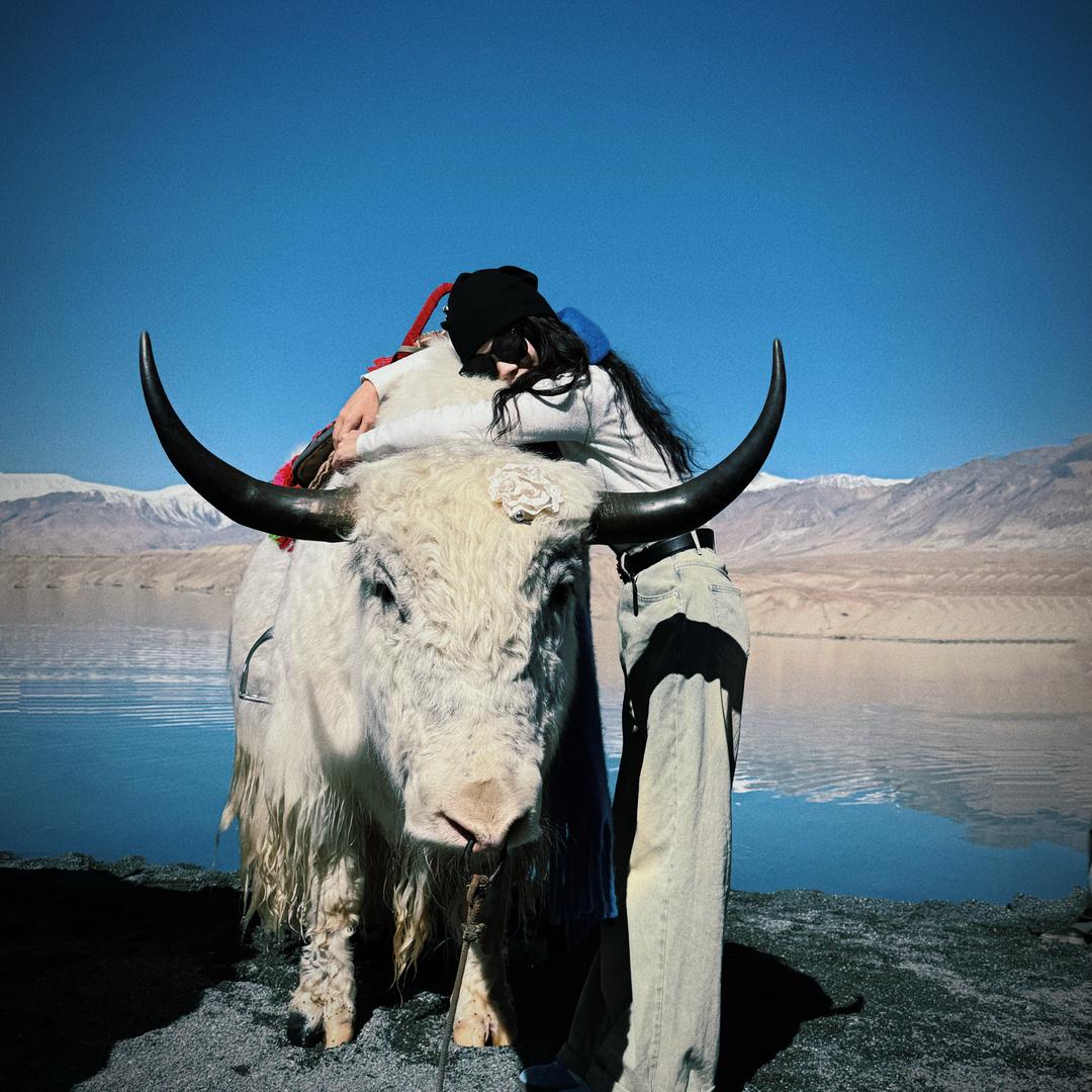 请假装不认识我