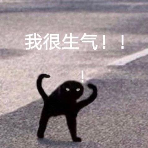 笨蛋金龙鱼🐡