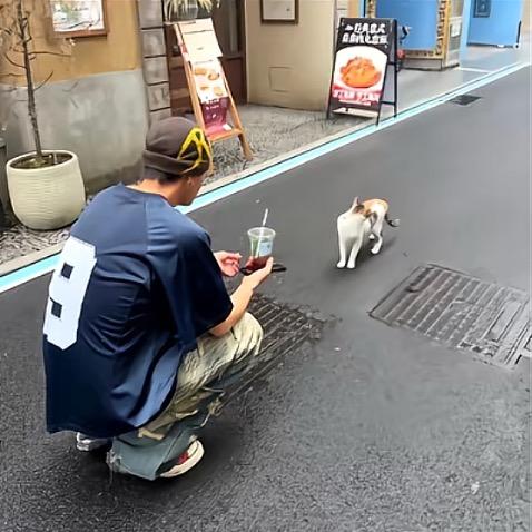 打工赚钱喂小猫