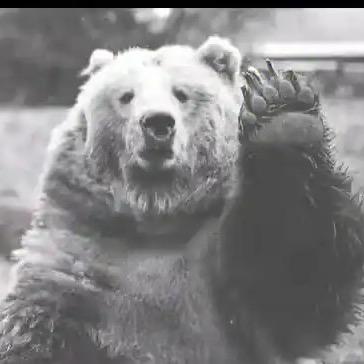 无畏契约-亚历山大