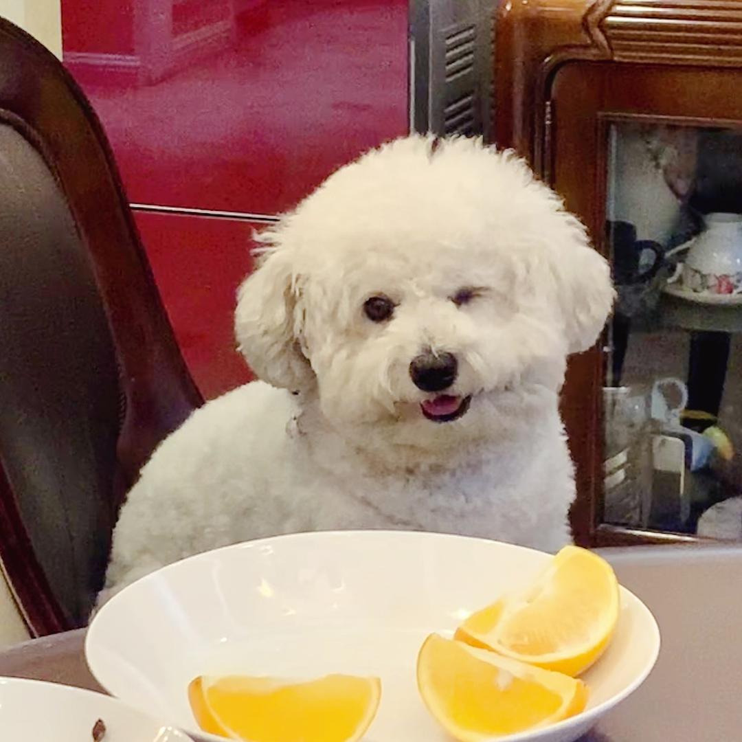 饺子日记