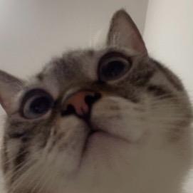 绝版小娅.🐾 🎵