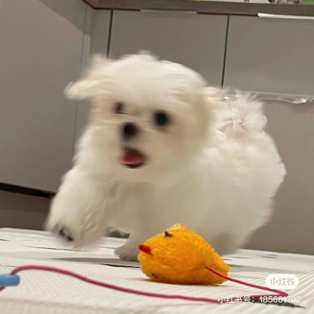 发财