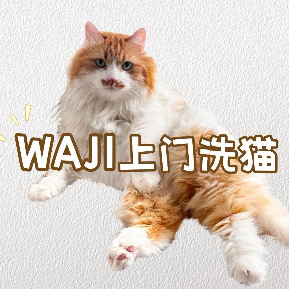 WAJI上门洗猫【西安主城】