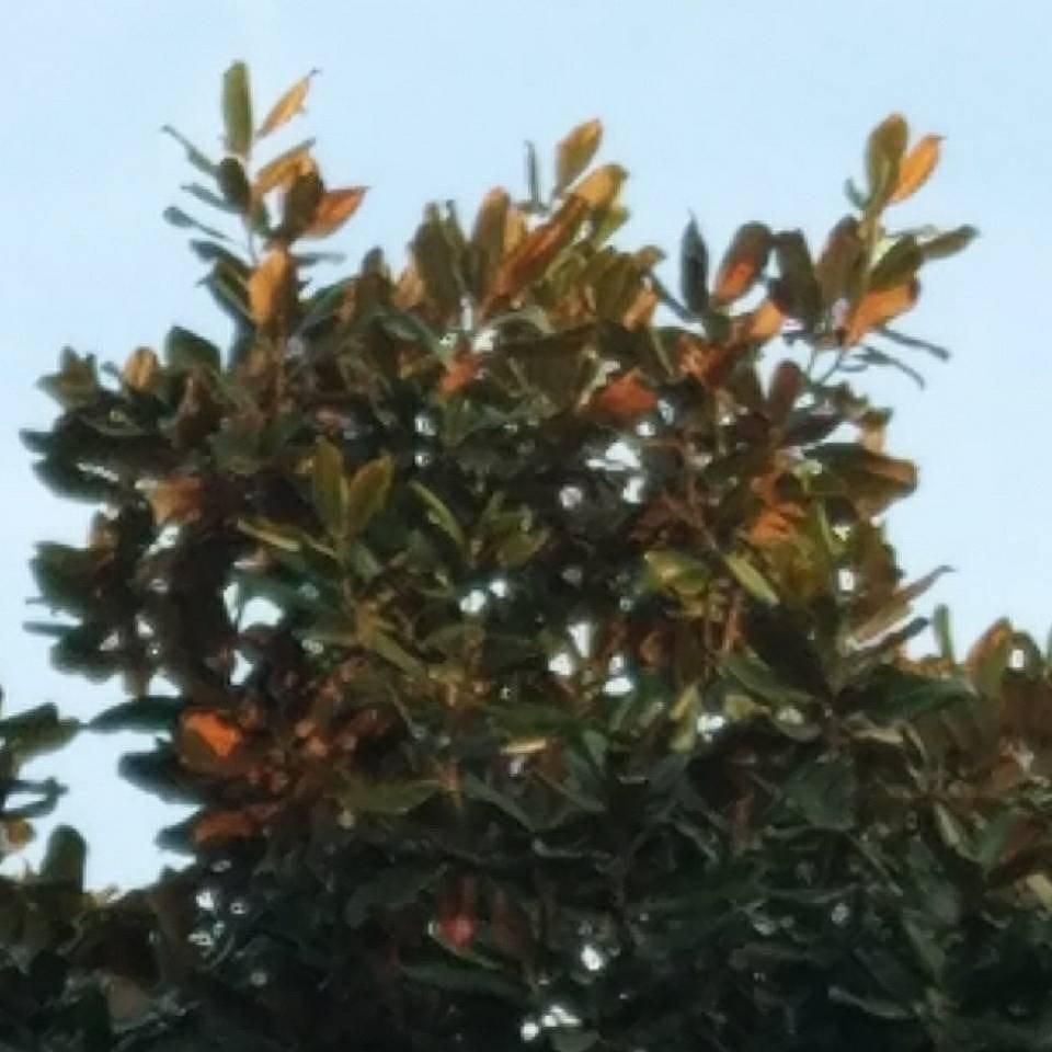 抽烟喝茶焗油看36DEFG