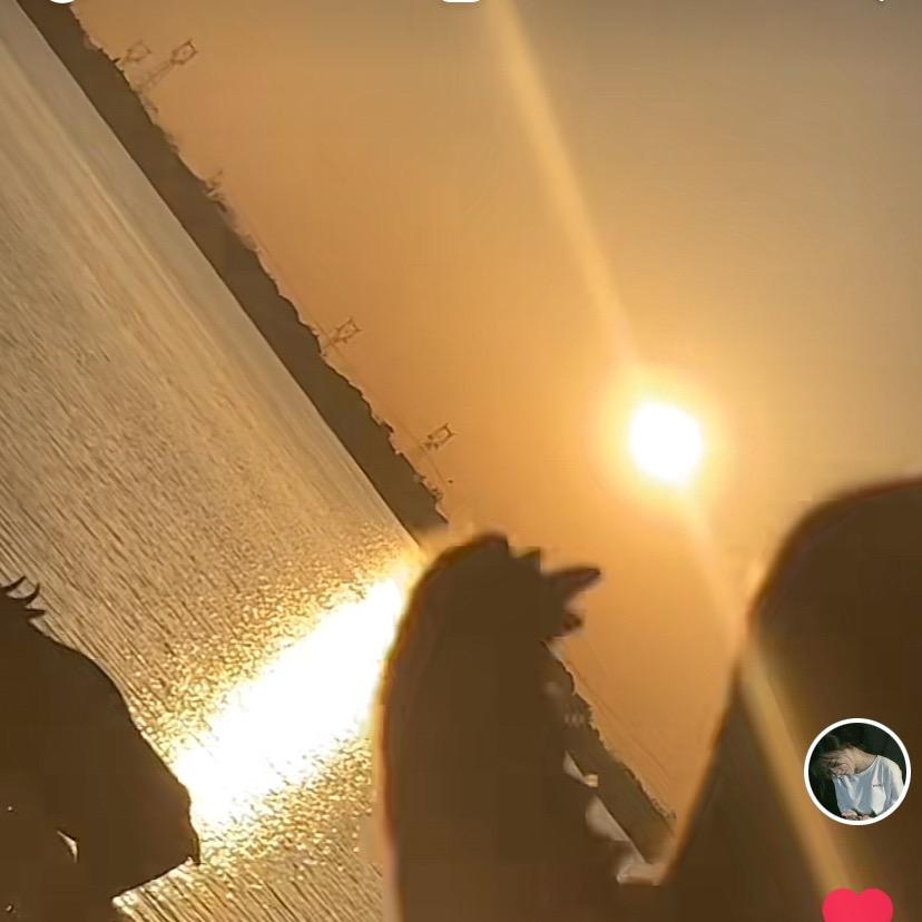 卤鲤驴与卤绿鲤驴