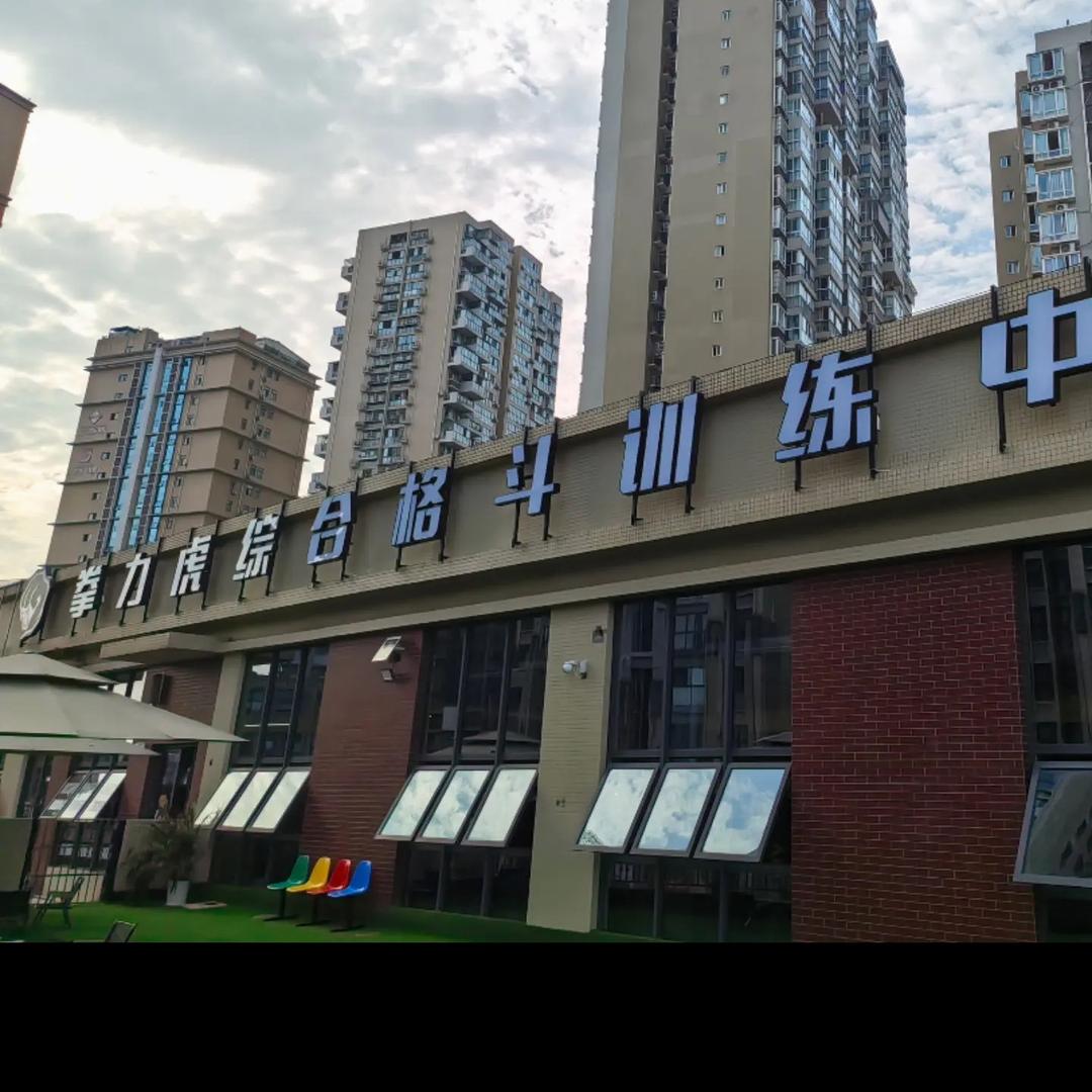 成都拳力虎综合格斗训练中心招生-董教练