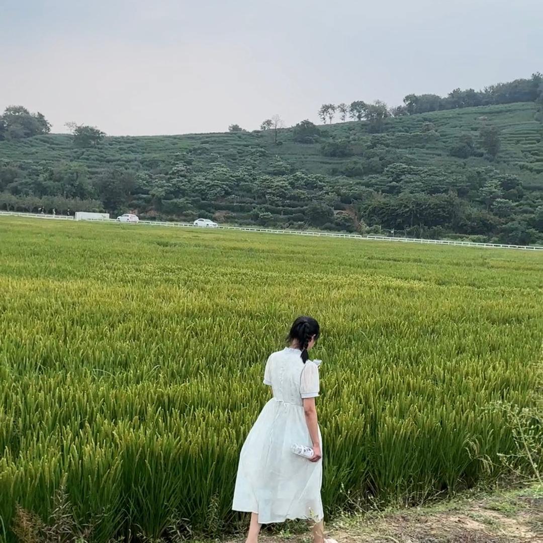 苏州拾里画室