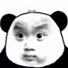 小猪
