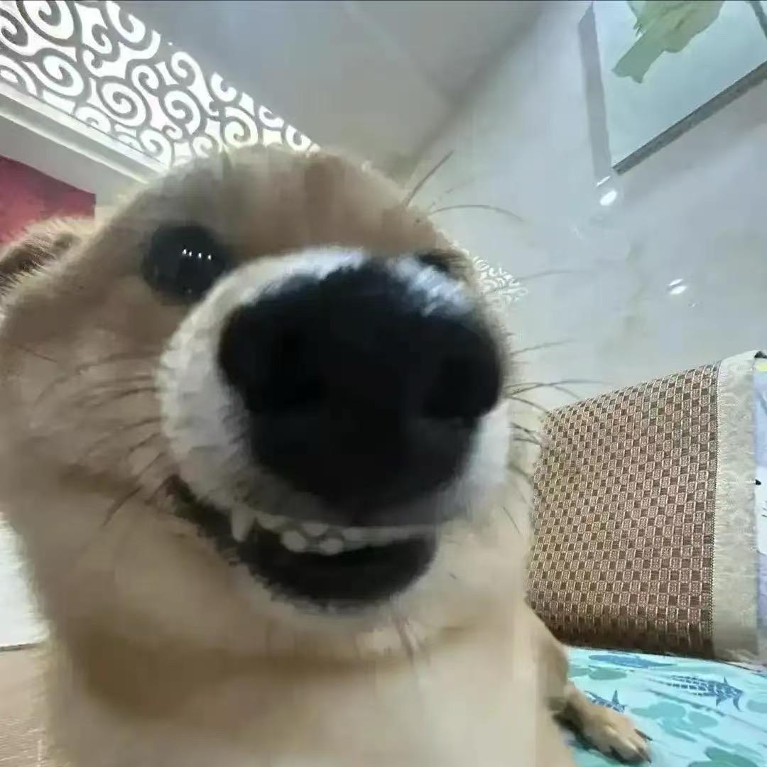 木嘴~