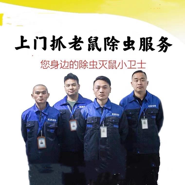 上海粒波 抓鼠除虫服务公司
