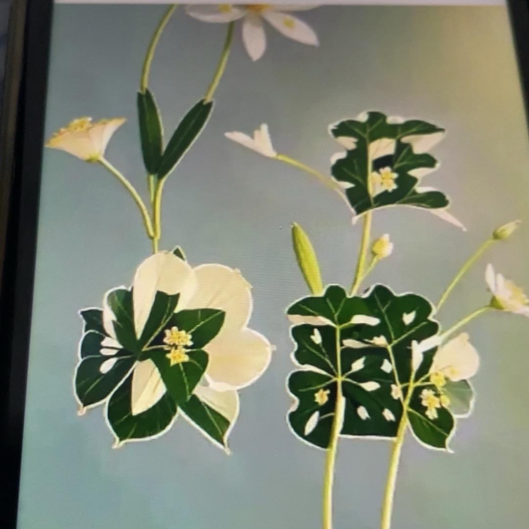 用户11650083018