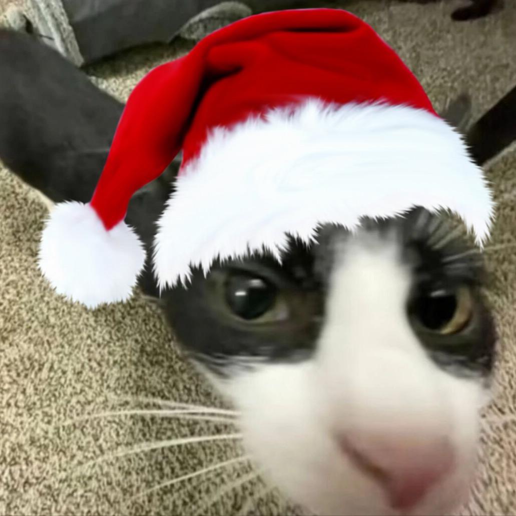 鬼火在超市买水果被误以为在裤裆藏了根甘蔗