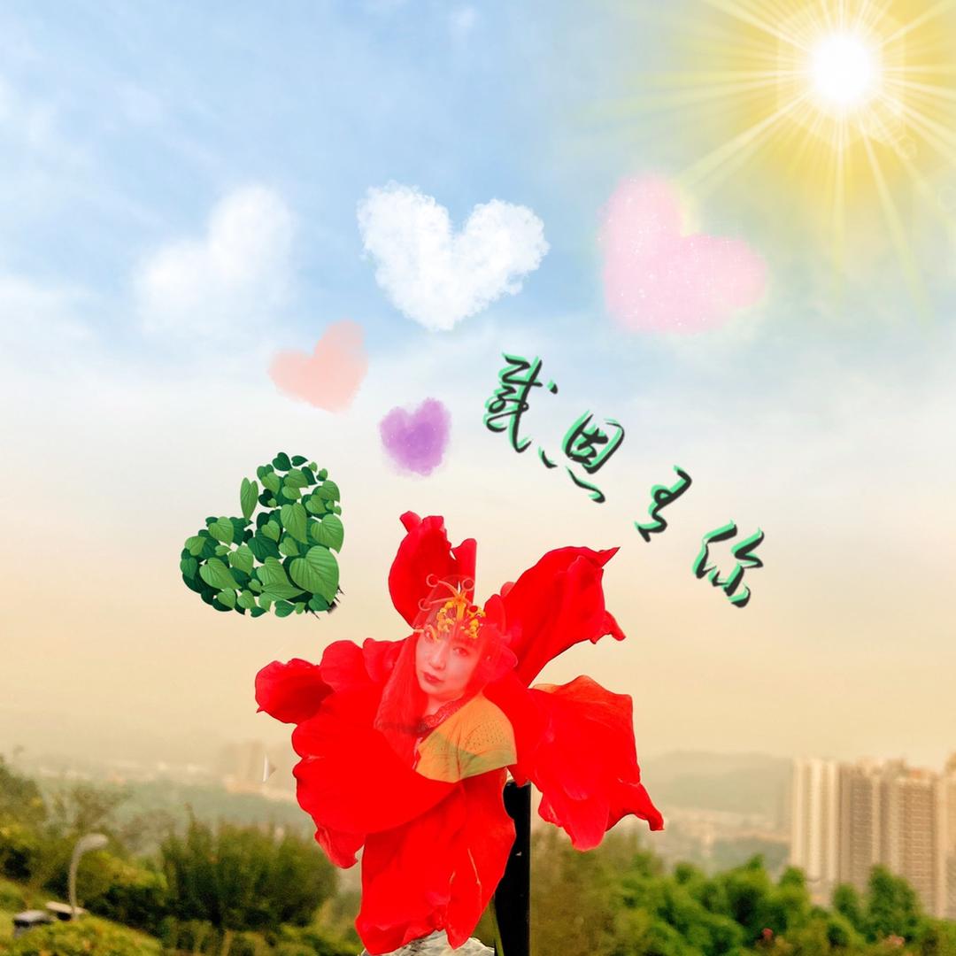瑛桃爱分享
