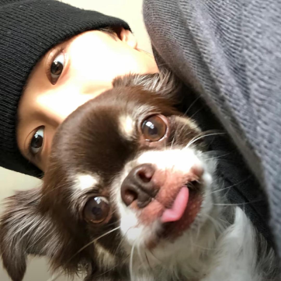 河南第一把妹王