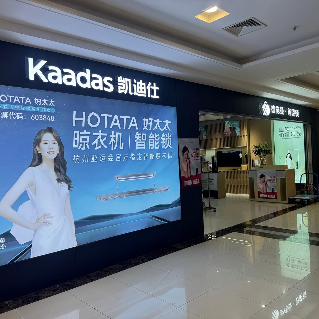 德施曼智能锁呼和浩特金盛