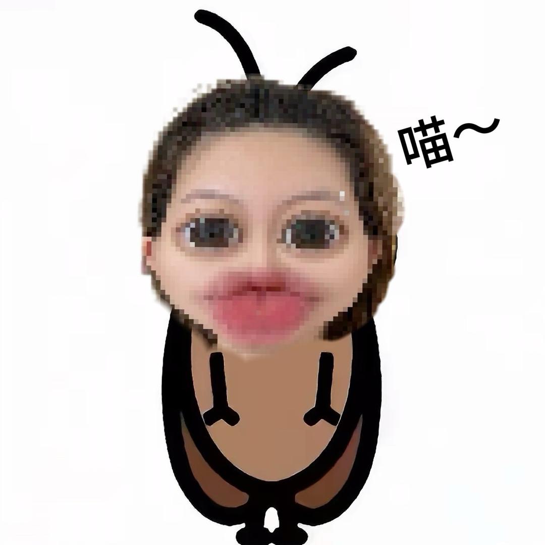 鱼妈妈