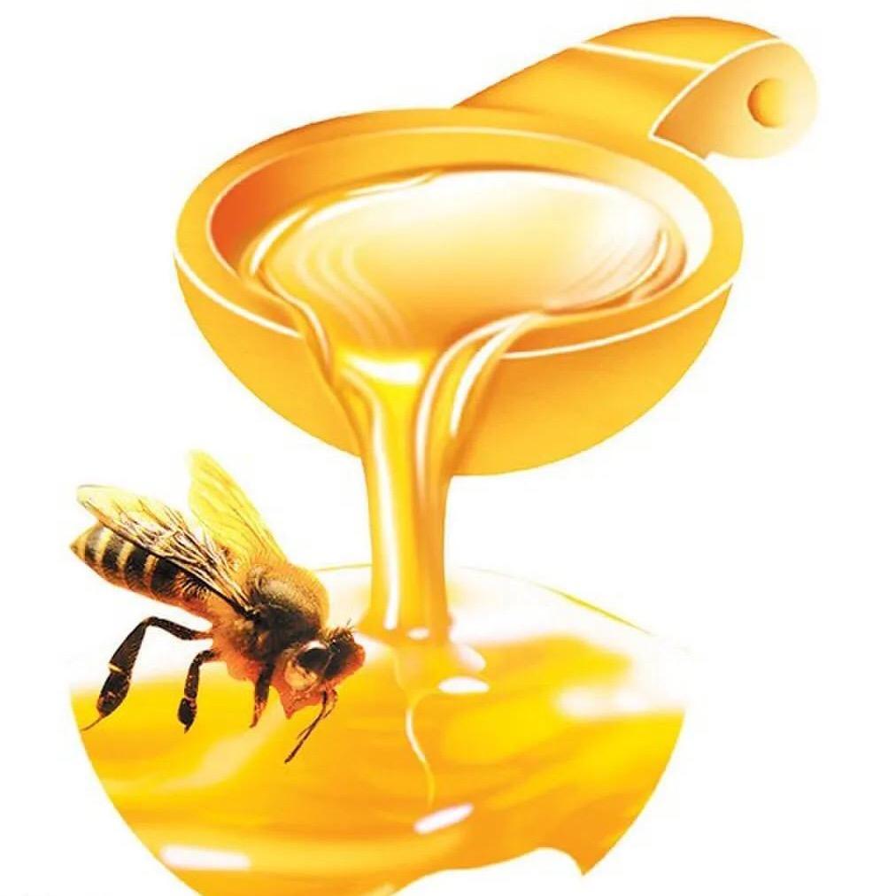 🐝纯正土蜂蜜，纯花纯蜜，假一赔十🐝