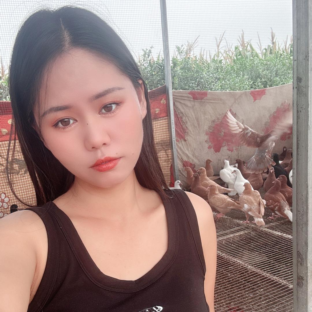 小薛的鸽子