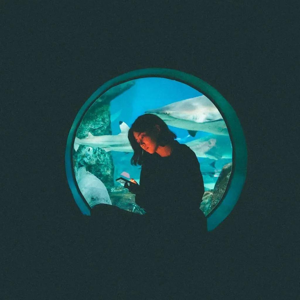 吃鸡蛋糕不吐蛋挞皮