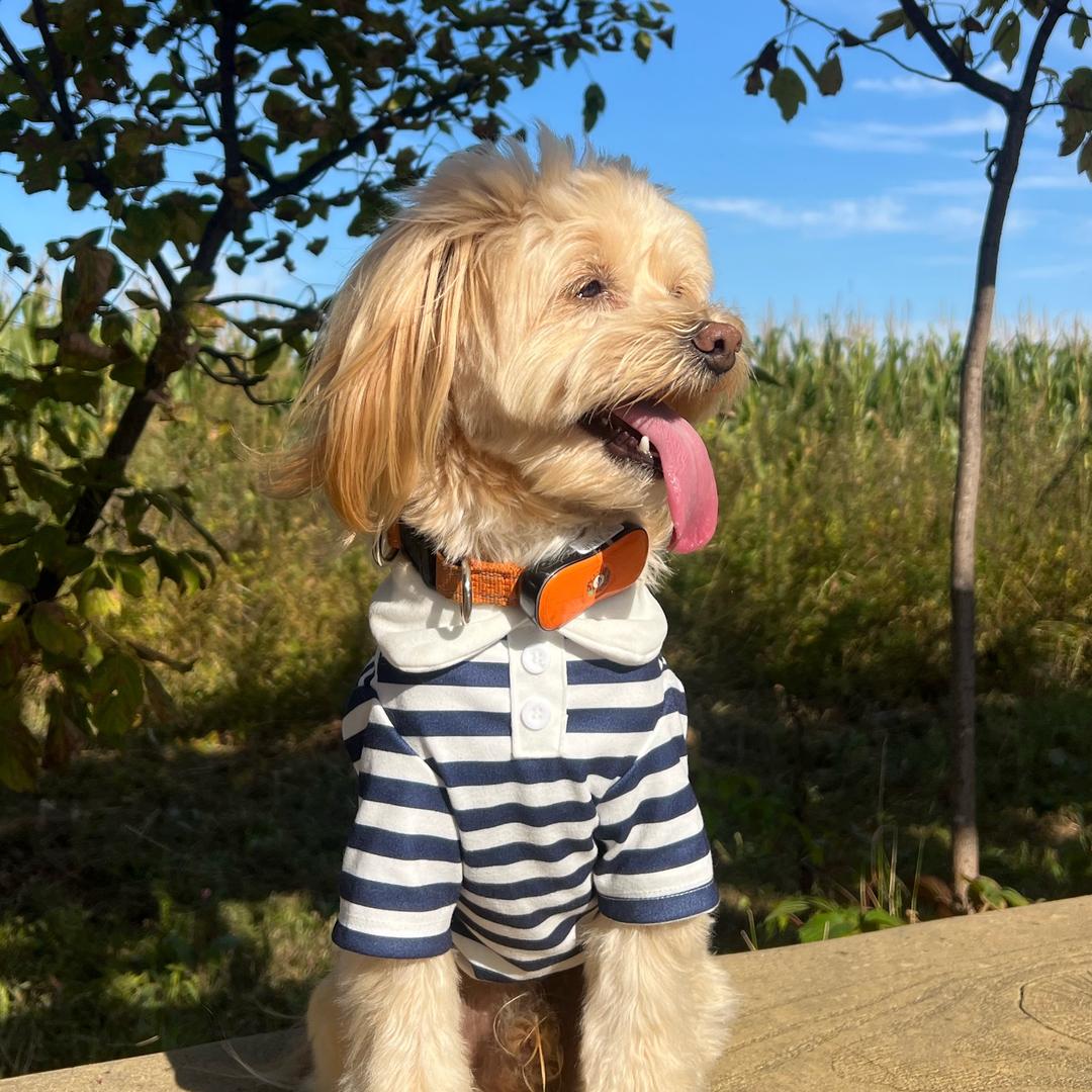 虎林美洁汽车美容装饰服务中心