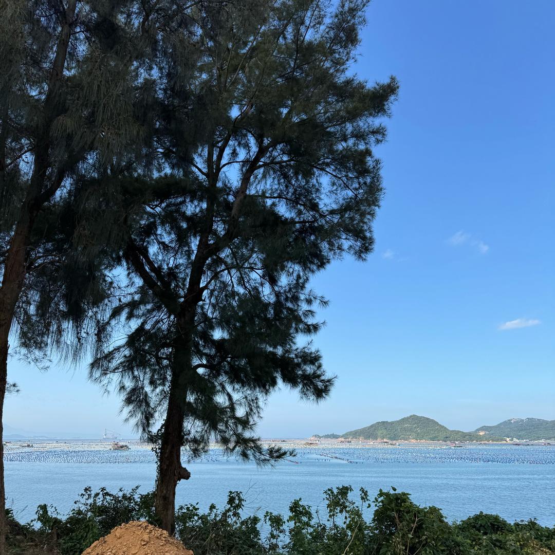 白白