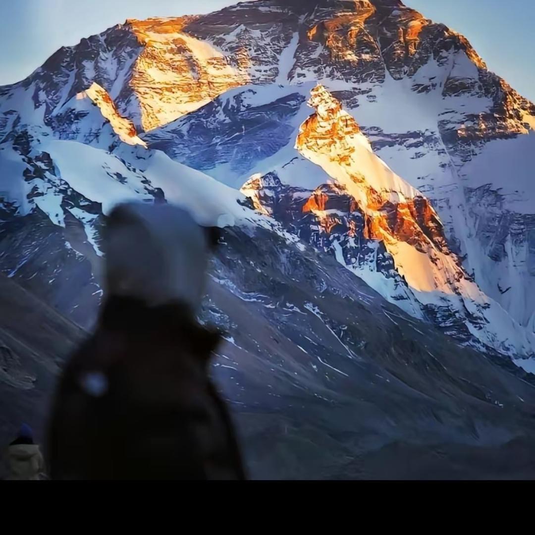 陈航.