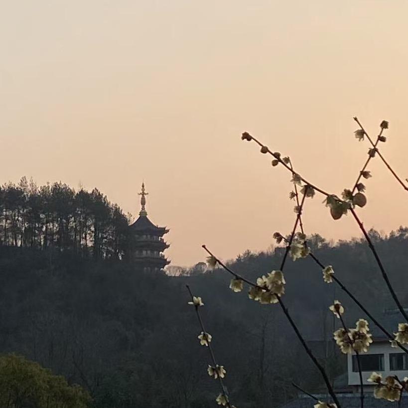 临溪参禅