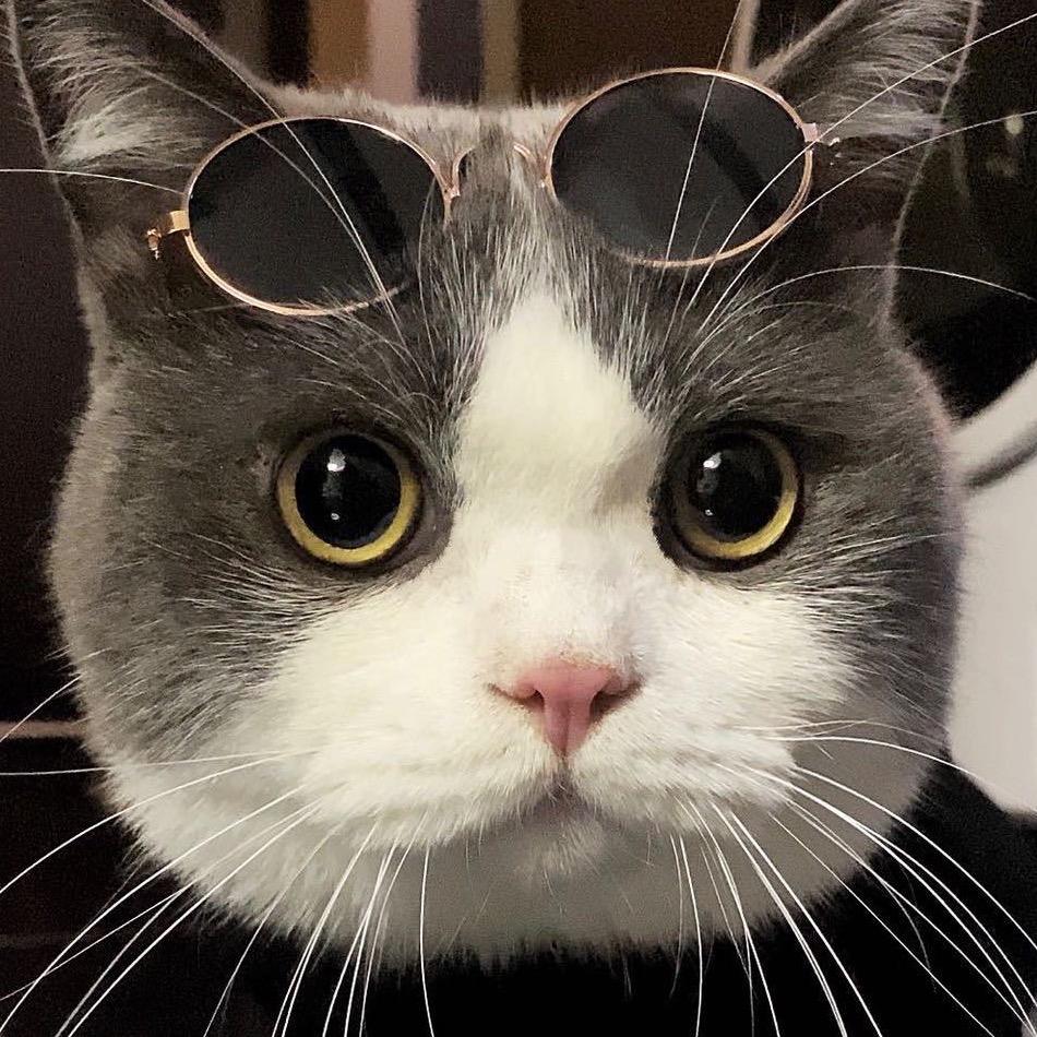 电电的小日子@抖音