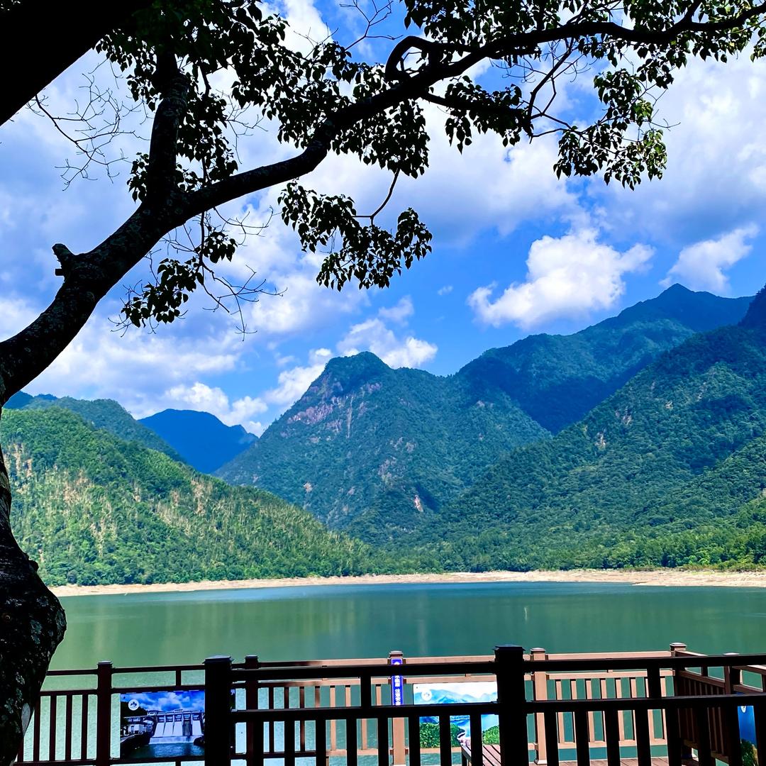印象青山